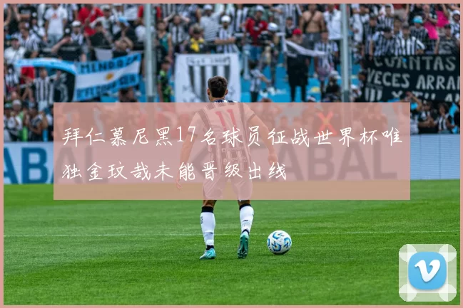 拜仁慕尼黑17名球员征战世界杯唯独金玟哉未能晋级出线